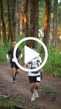 BIB:  <button type="button" onclick="openModal(27293613)" class="btn btn-primary btn-sm float-right" data-toggle="modal" data-target=".modal-high-quality">
                <i class="fa fa-download"></i> Download
                </button>